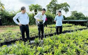 Thủ tướng Phạm Minh Chính: Quy hoạch tỉnh Đồng Nai phải chú ý 1 trọng tâm, 2 tăng cường và 3 đột phá - Ảnh 8.