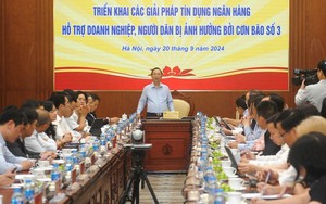 Quảng Ninh: Khách hàng vay vốn bị thiệt hại do cơn bão số 3 sẽ được khoanh nợ như thế nào? - Ảnh 3.