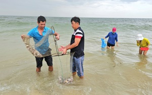 Du khách chèo SUP, ở nhà phao, trải nghiệm vùng "rốn lũ" Quảng Bình- Ảnh 4.