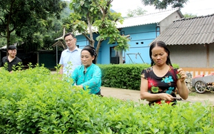 Ở "vùng trũng" Sơn Động, Bắc Giang: Biến khó khăn thành sức mạnh, "băng băng" về đích nông thôn mới - Ảnh 6.