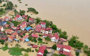 Thu ngân sách từ ô tô lắp ráp 'ì ạch' trong 8 tháng đầu năm - Ảnh 4.