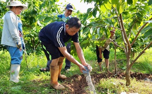 Nông dân thiếu thốn đủ bề, kiệt sức sau bão lũ lịch sử - Ảnh 10.