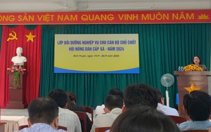 Quảng Ngãi: Hội Nông dân Bình Sơn sơ kết công tác Hội, phong trào nông dân 9 tháng đầu năm 2024 - Ảnh 10.