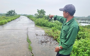 Một huyện của Thanh Hóa được Phó Thủ tướng Trần Lưu Quang ký công nhận nông thôn mới- Ảnh 13.