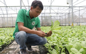 Hội Nông dân Việt Nam trao Quyết định nghỉ hưu cho đồng chí  Phạm Minh Hùng chuyên trách công tác phía Nam - Ảnh 7.