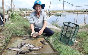 Vì sao một ông nông dân trồng hương thảo ở Thái Bình nói nhà nước cần tăng mức hỗ trợ rủi ro? - Ảnh 4.