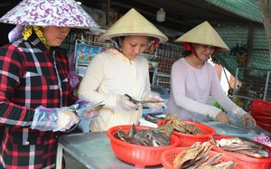 Dưa lưới vàng sao lại lăn lóc, ủ ê trong nhà màng của một ông nông dân Nghệ An, bán rẻ như cho? - Ảnh 6.