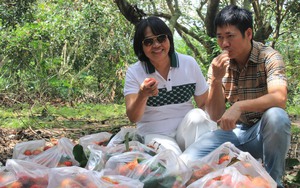 Đào ao thả 2 loại cá gì, cho thiên hạ vô câu cá giải trí, ai ngờ ông nông dân Khánh Hòa giàu hẳn?- Ảnh 8.