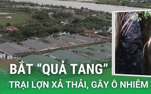 Dân liên tiếp “bắt quả tang” trại lợn xả thải ra gây ô nhiễm môi trường (Video kỳ 1) - Ảnh 2.