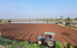 Huyện Bình Giang (Hải Dương): Người dân đóng chặt cửa, bịt khẩu trang vì mùi lạ "tra tấn" suốt nhiều tuần- Ảnh 8.