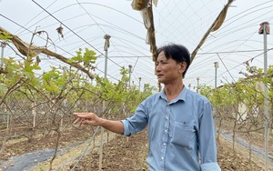 TP.HCM vinh danh 17 nông dân tiêu biểu, trong đó có 2 nữ nông dân - Ảnh 6.