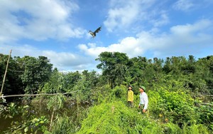 Án chung thân cho kẻ vô cớ giết người, trốn vào rừng sâu, trữ súng đạn, ma túy- Ảnh 6.