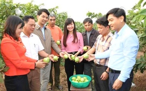 Ninh Bình: Hội viên nông dân thăm quan mô hình nuôi trồng thủy sản tại huyện Gia Viễn - Ảnh 6.