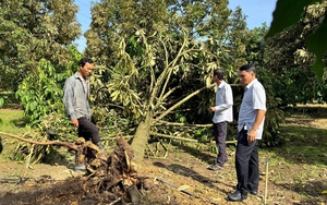 Lốc xoáy ở Quảng Trị gây thiệt hại, học sinh nghỉ học- Ảnh 3.