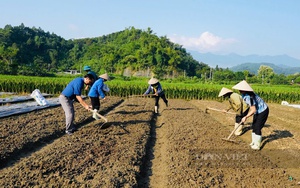 Cấm tất cả các loại phương tiện và người lưu thông qua cầu Yên Bái- Ảnh 6.