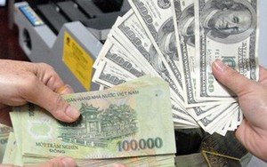 Giá USD hôm nay 8/10: Thế giới hạ nhiệt, tỷ giá ngân hàng đồng loạt đi lên - Ảnh 6.