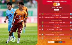 Bạo lực bùng phát ở V.League và “điểm đen” trọng tài Lê Vũ Linh - Ảnh 5.