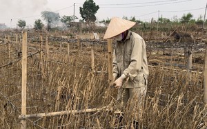 Hà Nội: Đường Âu Cơ hoàn thiện sau cải tạo, người dân thoát cảnh “vật lộn” với bụi bẩn, giao thông khó khăn- Ảnh 8.