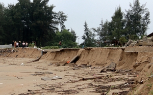 Ngư dân Hà Tĩnh trúng đậm mùa ruốc biển, bỏ túi tiền triệu sau mỗi chuyến ra khơi- Ảnh 13.