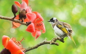 Phá kén bay cao, 3 con giáp không còn áp lực, đón tương lai tươi sáng - Ảnh 5.