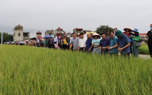 Phó Chủ tịch Thường trực Hội Nông dân tỉnh Bắc Giang Lã Văn Đoàn được tôn vinh Nhà khoa học của nhà nông- Ảnh 4.