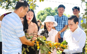 Hội Nông dân Hà Tĩnh chi hơn 235 triệu đồng hỗ trợ 15 gia đình hoàn cảnh khó khăn chăn nuôi bò sinh sản - Ảnh 9.