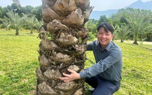 Làm mô hình vườn-ao-chuồng-VAC quy mô lớn, vợ chồng anh nông dân Thái Nguyên thu 2 tỷ/năm - Ảnh 9.