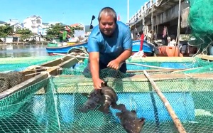 Đánh bắt xa bờ toàn cá to, thu tiền tỷ, một người Quảng Trị là Nông dân Việt Nam xuất sắc 2024 - Ảnh 11.