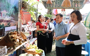 Na Mai Sơn - sản phẩm OCOP 3 sao mang lại thu nhập hàng tỷ đồng cho người nông dân - Ảnh 8.