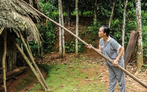 Cơn bão, gói mì và nước mắt- Ảnh 13.