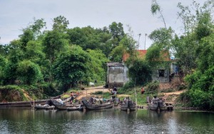 Kỳ tôm-loài động vật hoang dã có trong sách Đỏ, ở Việt Nam dân nuôi phát tài, vậy kỳ tôm là con gì? - Ảnh 7.