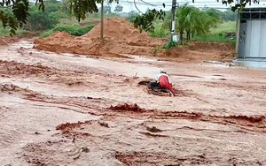 TIN NÓNG 24 GIỜ QUA: Nữ giám đốc lừa đảo chiếm đoạt hàng trăm tỷ đồng; ẩu đả 2 người thương vong - Ảnh 14.