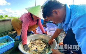 Việt Nam gần như "cạn sạch" hồ tiêu, giá xuất khẩu tăng cao chưa từng có - Ảnh 7.