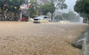 Na Mai Sơn - sản phẩm OCOP 3 sao mang lại thu nhập hàng tỷ đồng cho người nông dân - Ảnh 6.