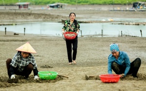 Đánh bắt xa bờ toàn cá to, thu tiền tỷ, một người Quảng Trị là Nông dân Việt Nam xuất sắc 2024 - Ảnh 10.