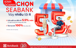 SeABank lãi trước thuế 4.508 tỷ đồng trong 9 tháng đầu năm - Ảnh 4.