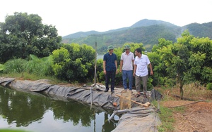 Đánh bắt xa bờ toàn cá to, thu tiền tỷ, một người Quảng Trị là Nông dân Việt Nam xuất sắc 2024 - Ảnh 9.