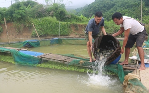 Sạt lở đất ở Lào Cai khiến 17 người chết, mất tích và bị thương- Ảnh 5.