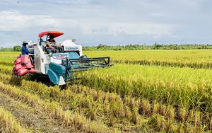 Ông Hồ Quang Cua đề xuất đặc cách gì để phát triển Đề án 1 triệu ha lúa chất lượng cao, phát thải thấp? - Ảnh 1.