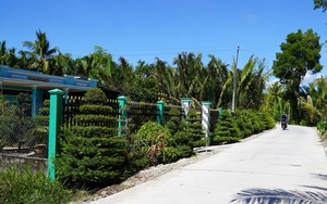 Kiên Giang thông qua chủ trương chuyển đổi hơn 22,7 ha đất rừng sang mục đích khác- Ảnh 3.