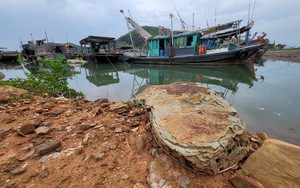 Tạm ngừng cấp phép cho các phương tiện ra khơi, lưu trú trên biển Quảng Ninh do bão số 3 Yagi  - Ảnh 5.