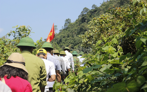 Nông dân mở cửa hàng OCOP trong làng du lịch để giới thiệu sản phẩm tới du khách - Ảnh 9.