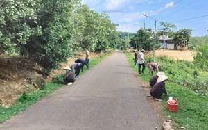 Gần 19.000 hộ dân huyện Bù Đăng, tỉnh Bình Phước "mắc kẹt" giữa vùng quy hoạch bauxite. - Ảnh 12.