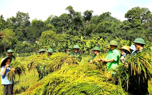 Nghề nuôi con "siêng nhất hành tinh", nay đây mai đó, mà thu cả trăm triệu mỗi năm- Ảnh 10.