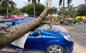 Ngư dân Nam Định đằm mình trong nước để chằng buộc tàu thuyền đối phó siêu bão Yagi- Ảnh 15.