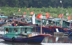 Siêu bão số 3, cơn bão Yagi trước giờ đổ bộ đất liền Thanh Hóa, dân hối hả làm việc này ngoài đồng- Ảnh 15.