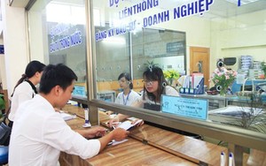 Khởi tố giám đốc doanh nghiệp vụ che giấu doanh thu để trốn thuế hàng trăm tỷ đồng- Ảnh 5.