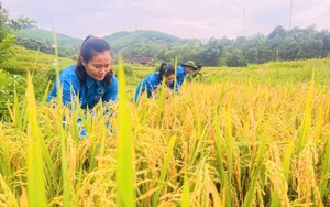 Phó Thủ tướng Trần Hồng Hà yêu cầu cơ quan khí tượng cập nhật liên tục diễn biến bão số 3- Ảnh 5.