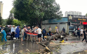 Hà Nội yêu cầu di dân khỏi chung cư cũ nguy hiểm trước siêu bão Yagi đổ bộ - Ảnh 4.