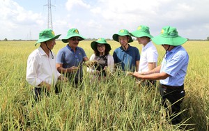 Phó Chủ tịch Trung ương Hội Nông dân Việt Nam Bùi Thị Thơm thăm nông dân điển hình ở Bình Thuận- Ảnh 10.